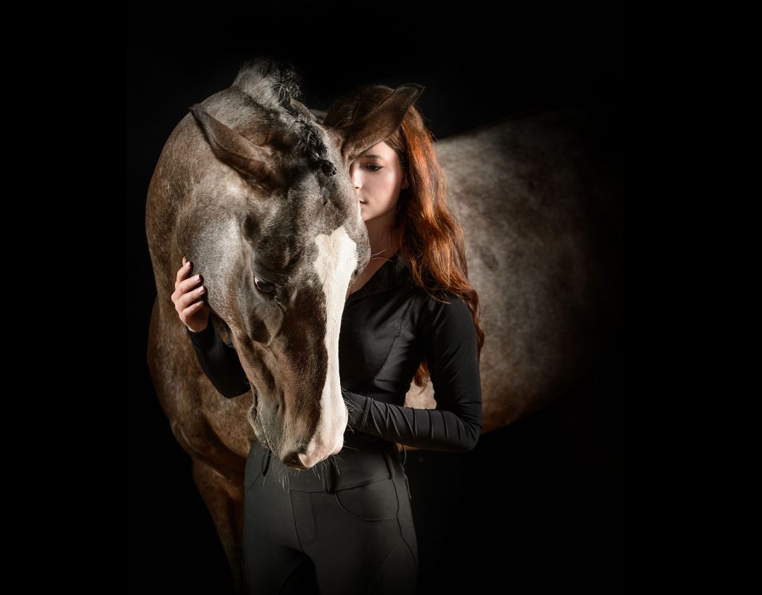 +00 taylor horses 4