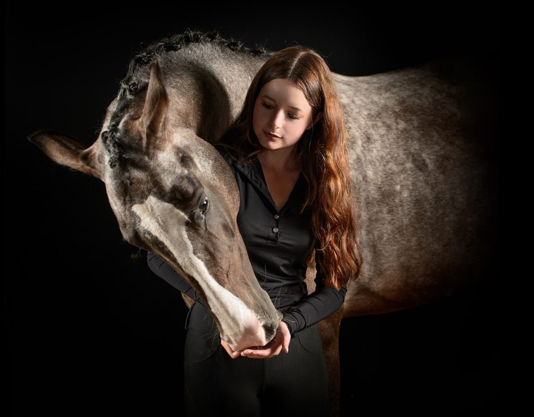 00 taylor horses 5