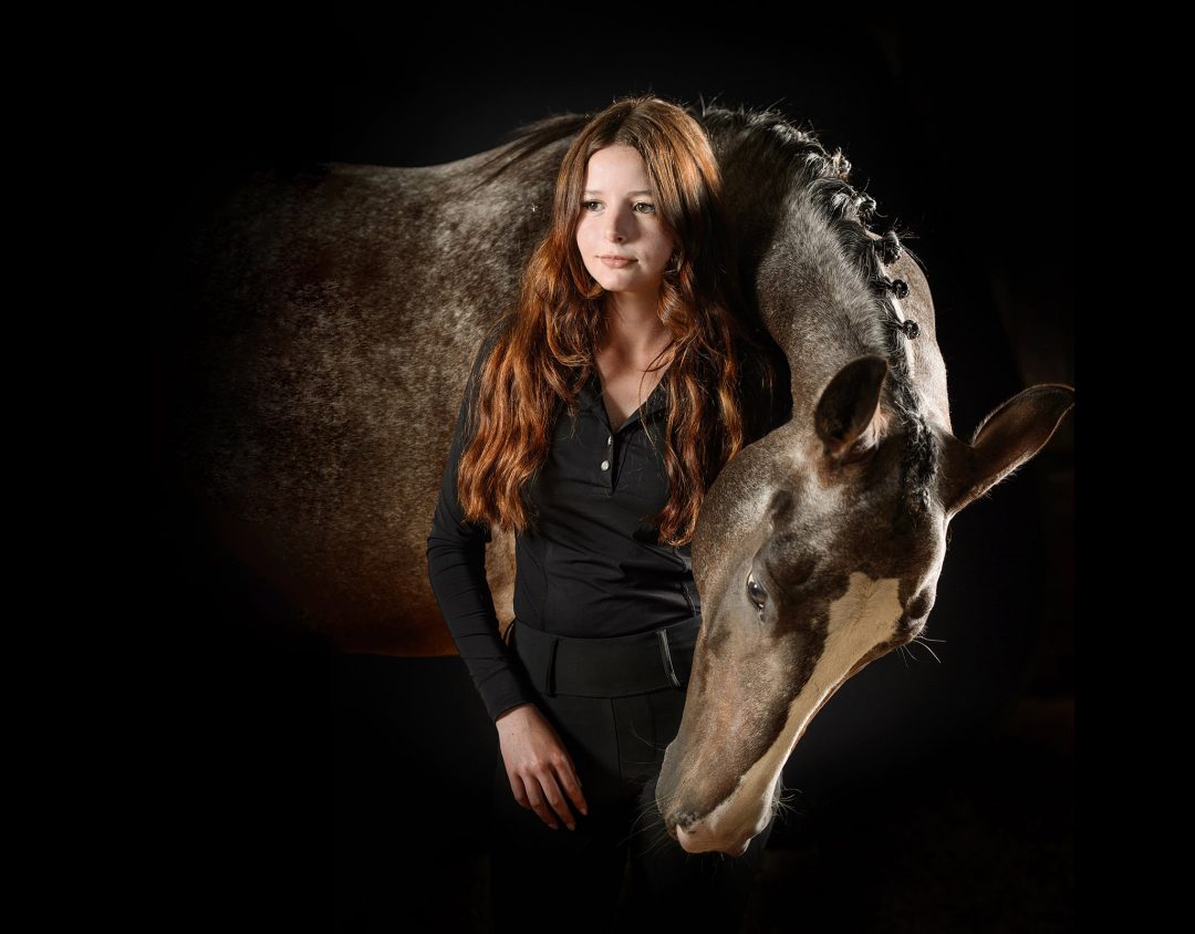 17 taylor horses 7